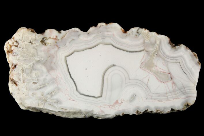 Polished Banded Agate Nodule Section - Aouli, Morocco #187229